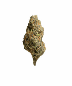 Blueberry AK Flower