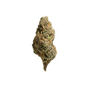 fire-berries-popcorn-flower.png