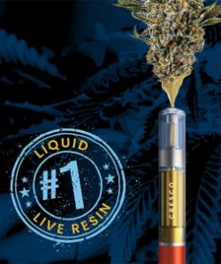Golden Monkey Extracts – Premium 800MG THC Cartridges – 1ML
