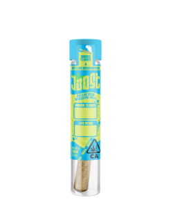 JOOST Gelato Mintz x Alien OG ~ Indica ~ 1G Live Resin Pre-Roll